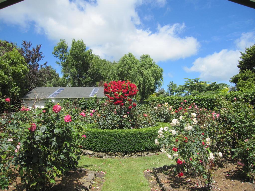Bed and Breakfast Thyme Out Estate Halcombe Екстер'єр фото
