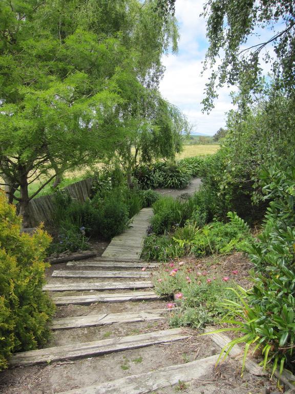 Bed and Breakfast Thyme Out Estate Halcombe Екстер'єр фото